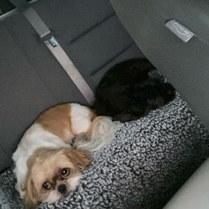 Meet your Posher, Sheri